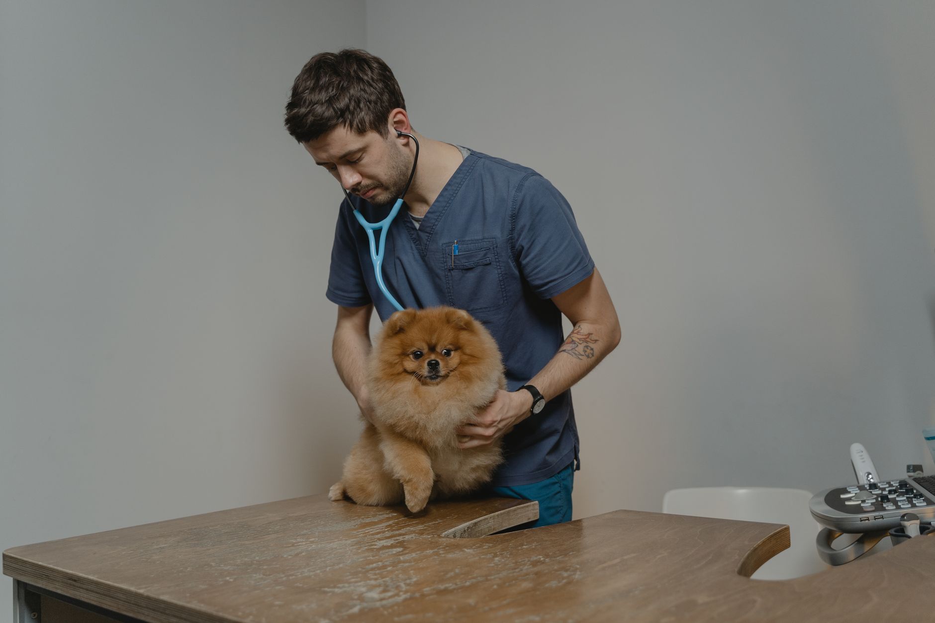 Vétérinaire de Garde Châtillon